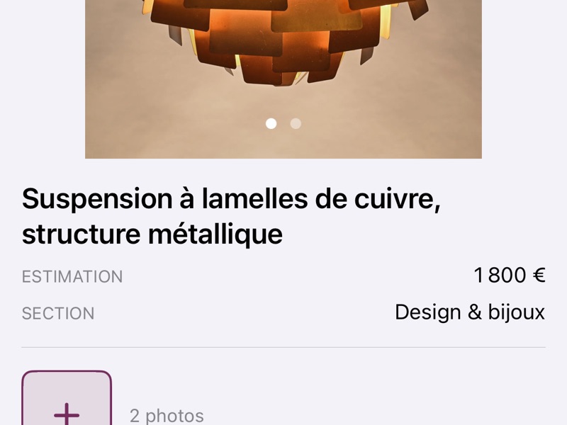 Relire la désignation, l'estimation et la section sur la fiche d'un lot
