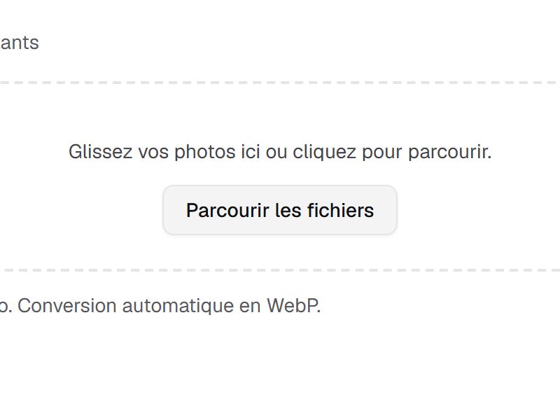 Choisir Parcourir les fichiers pour ajouter les photos d'un nouveau lot